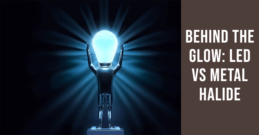 Behind The Glow LED Lighting vs Metal Halide Lighting Find Out Why LED Lighting Is Better From LED Network