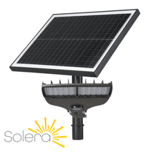 Solera SL-SAL-60L-FC Solar Lighting System Solar Area Light FlexColor 3000K 4000K 5000K Type III Optics 6000 Lumens Off-Grid Lighting for Canada from LED Network