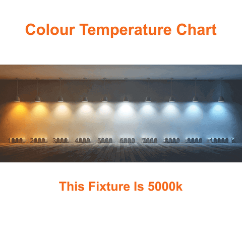 LED Colour Temperature Chart Showing 5000k For Work Light Construction Light 100w 5000k 120-277v cETL Orange Linkable LED Network